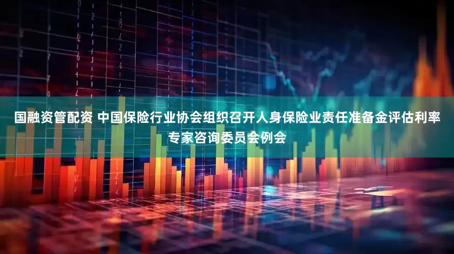 国融资管配资 中国保险行业协会组织召开人身保险业责任准备金评估利率专家咨询委员会例会